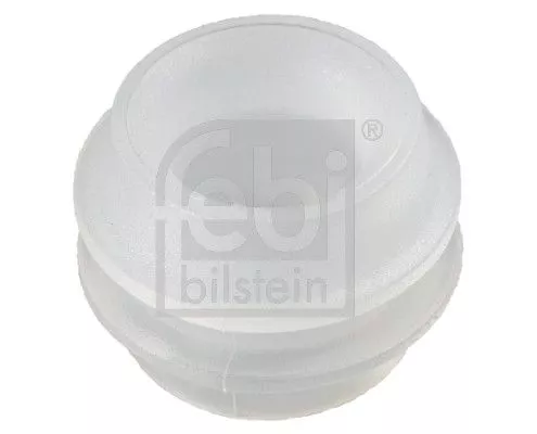 Buchse, Schaltstange