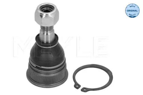 Trag-/Führungsgelenk