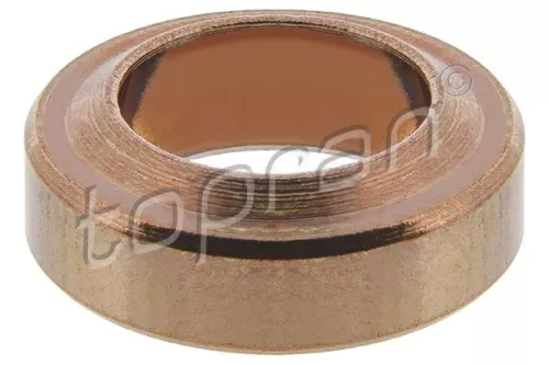 Dichtring, Einspritzventil