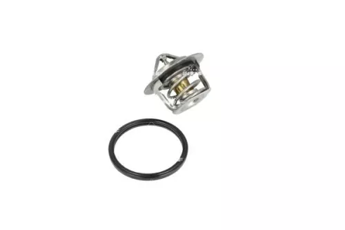 Thermostat, Kühlmittel