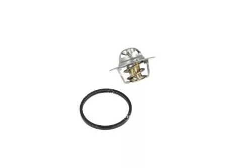 Thermostat, Kühlmittel