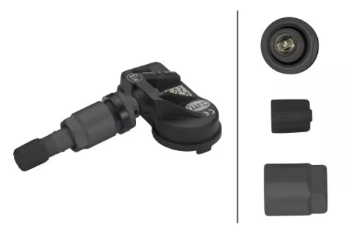 Radsensor, Reifendruck-Kontrollsystem