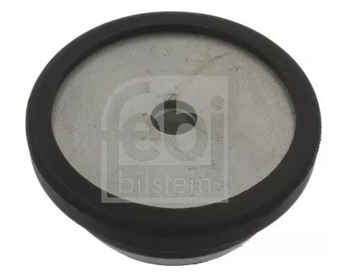 Federbeinstützlager