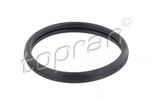 Dichtung, Thermostat