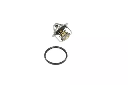 Thermostat, Kühlmittel