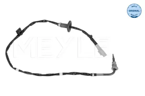 Sensor, Abgastemperatur