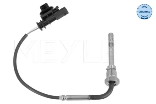 Sensor, Abgastemperatur