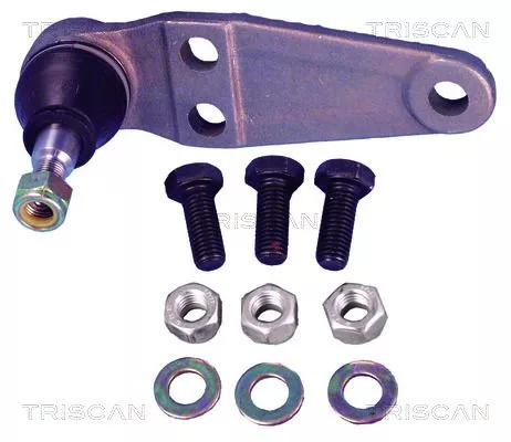 Trag-/Führungsgelenk