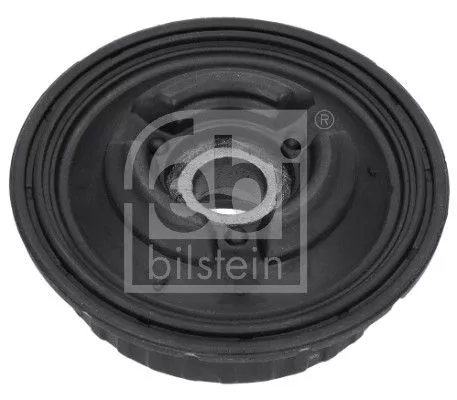 Federbeinstützlager