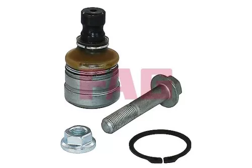 Trag-/Führungsgelenk