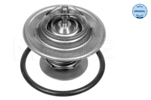 Thermostat, Kühlmittel