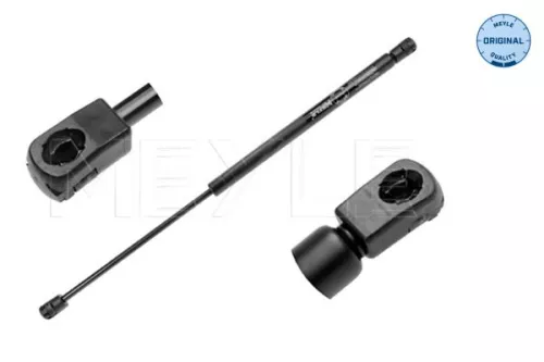 Gasfeder, Koffer-/Laderaum