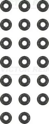 Dichtungssatz, Ventilschaft