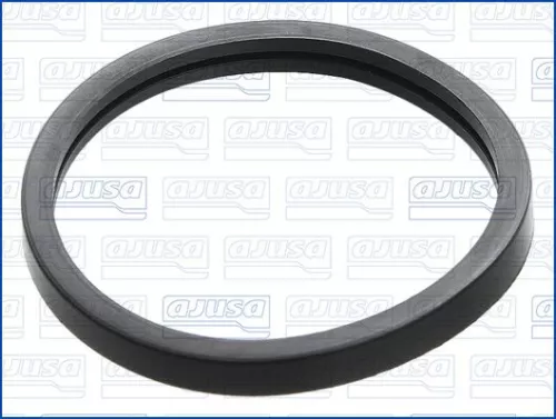 Dichtung, Thermostat